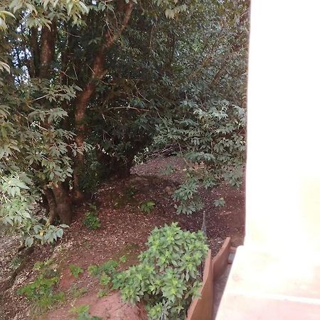 Monte Verde Chinamada Dış mekan fotoğraf
