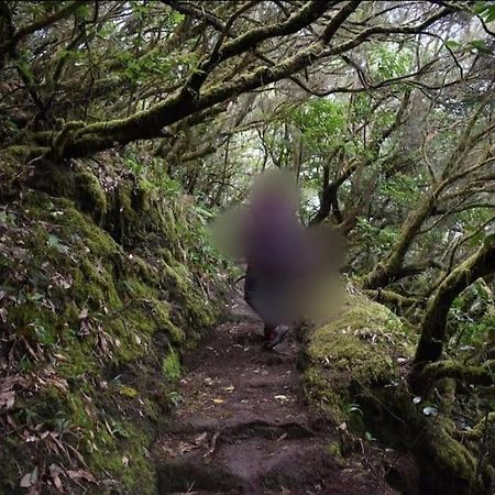 Monte Verde Chinamada Dış mekan fotoğraf