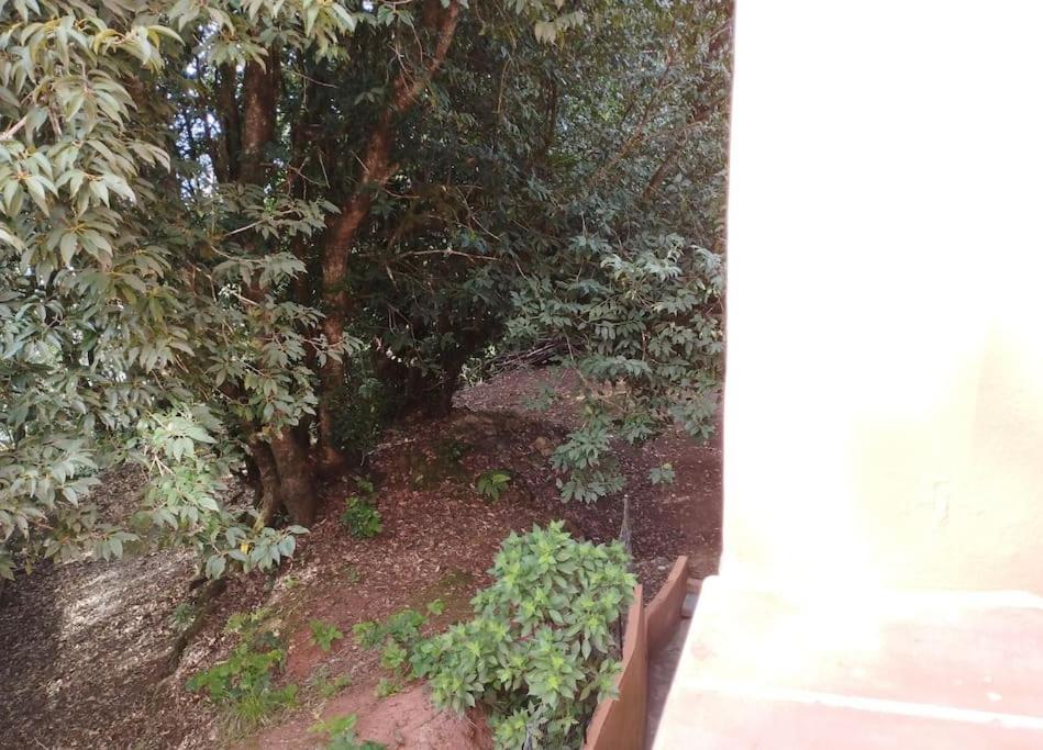 Monte Verde Chinamada Dış mekan fotoğraf