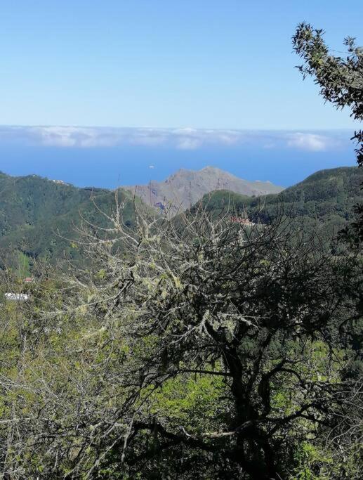 Monte Verde Chinamada Dış mekan fotoğraf