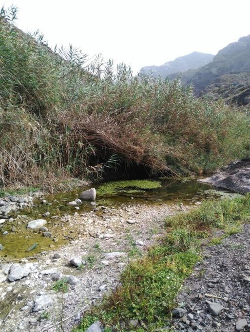 Monte Verde Chinamada Dış mekan fotoğraf