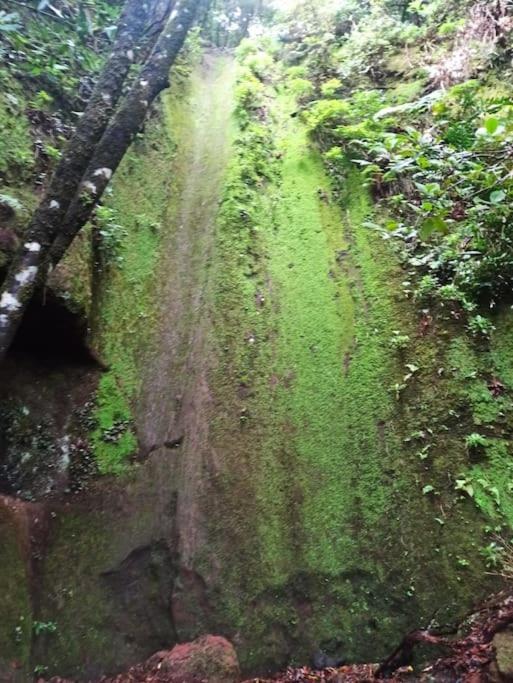 Monte Verde Chinamada Dış mekan fotoğraf