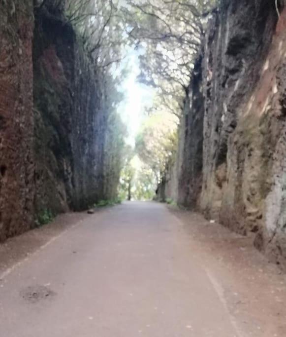 Monte Verde Chinamada Dış mekan fotoğraf