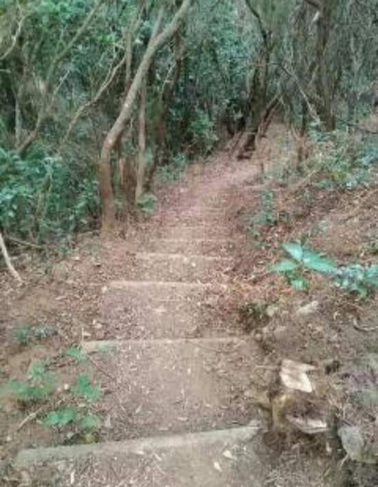 Monte Verde Chinamada Dış mekan fotoğraf