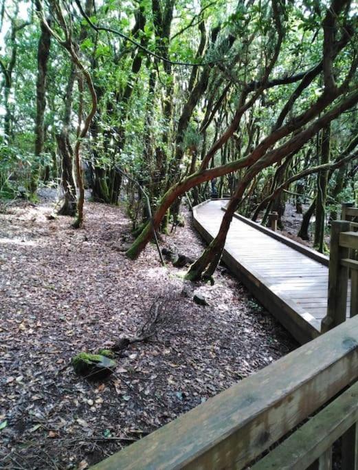 Monte Verde Chinamada Dış mekan fotoğraf