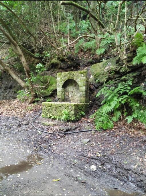 Monte Verde Chinamada Dış mekan fotoğraf