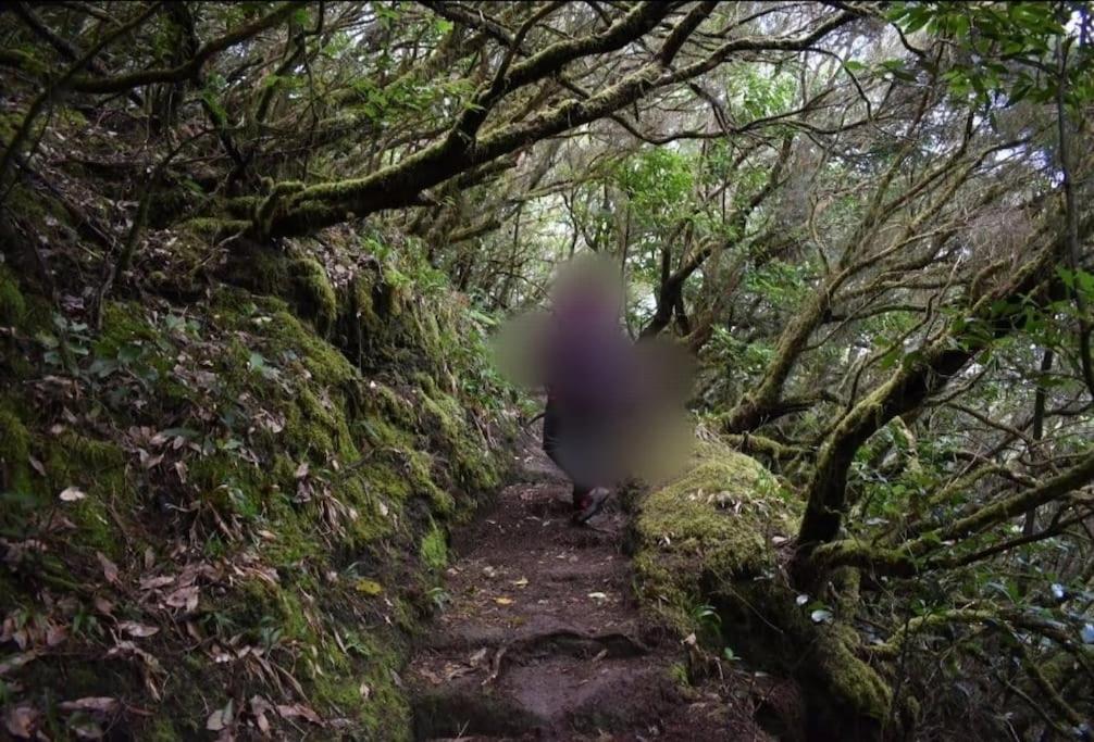 Monte Verde Chinamada Dış mekan fotoğraf
