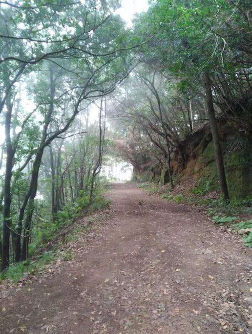 Monte Verde Chinamada Dış mekan fotoğraf