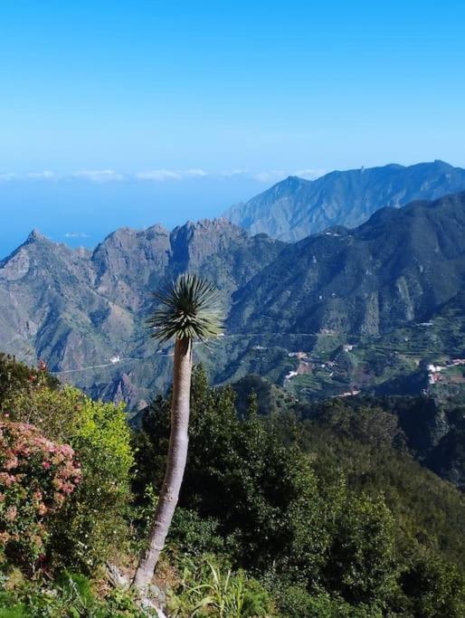 Monte Verde Chinamada Dış mekan fotoğraf