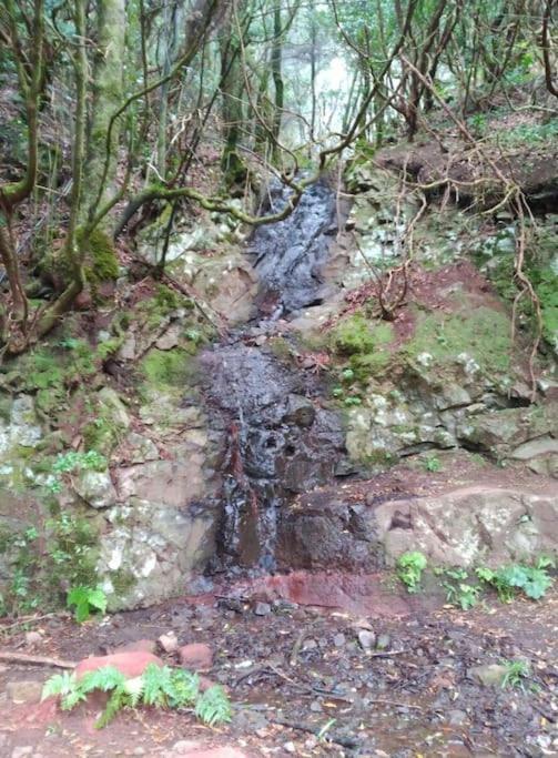 Monte Verde Chinamada Dış mekan fotoğraf